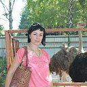 ���� �����, �������, 39 ��� - ��������� 23 ������ 2017 � ������ ���� ���� ������