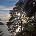 ���� ��������, �����-���������, 52 ���� - ��������� 30 ���� 2017 � ������ �������