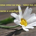 ���� �������, ������� ����, 58 ��� - ��������� 5 ������ 2017 � ������ ������ ��������
