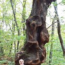 ���� ���, ���������, 67 ��� - ��������� 24 ������� 2017 � ������ ������ ��������