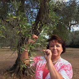 ���� ������, ������, 69 ��� - ��������� 17 ������� 2017