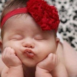 ���� �������, ���������� - ��������� 26 ���� 2017