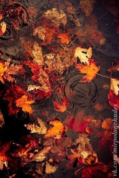    ,      ,       ... - 3