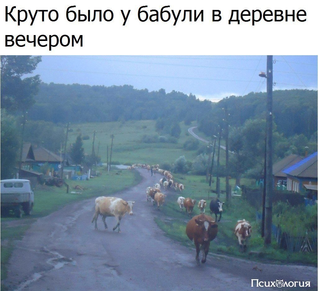 ���������� - 6 ���� 2017 � 06:37