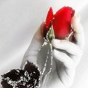 ���� Alik, �������� - ��������� 9 ���� 2017 � ������ ���� ����������