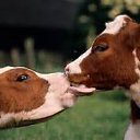 ���� �������, ����������� - ��������� 23 ������ 2017 � ������ ������ ��������