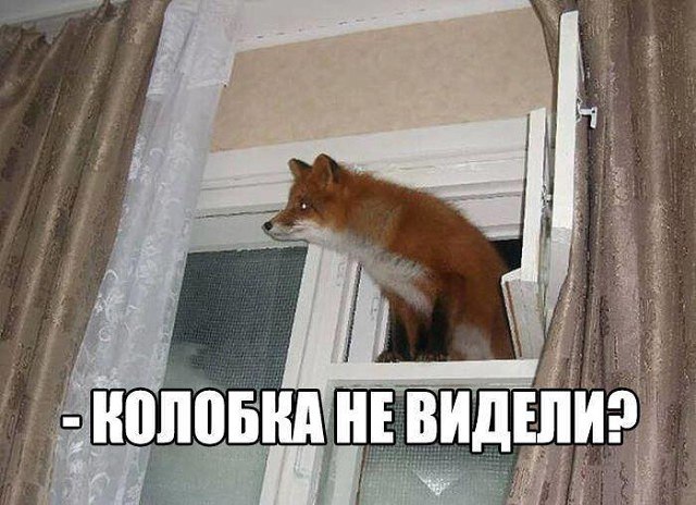 ��� ������ ��� - 11 ������ 2017 � 12:02