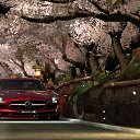 ���� ��������, ����, 52 ���� - ��������� 15 �������� 2017 � ������ �������