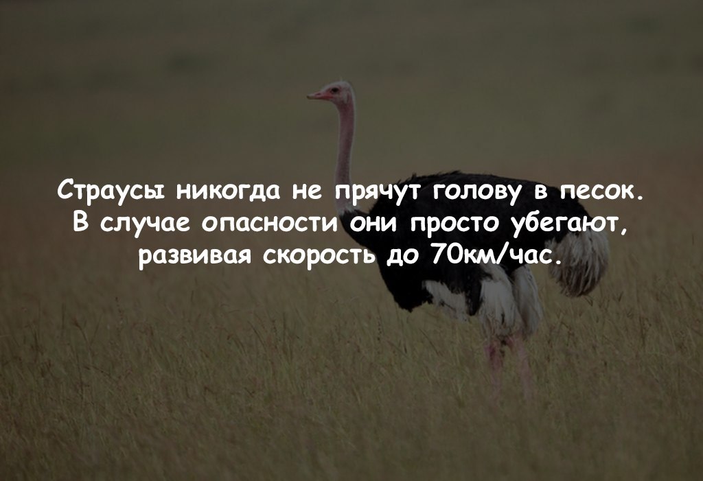   - 24  2017  03:40