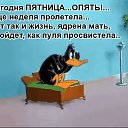 ���� ������, ����� - ��������� 6 �������� 2017 � ������ ���� ����������