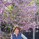 ���� �������, ������-��-���� - ��������� 3 ���� 2017 � ������ �2017�