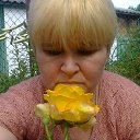 ���� ��������, ����, 58 ��� - ��������� 26 ��� 2017 � ������ ���� ����������