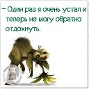 ���� �����, ������, 63 ���� - ��������� 1 ������� 2017 � ������ ������ ��������
