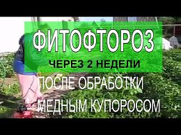  - 2 .     /    / 