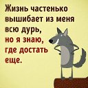 ���� ��������, �����-��������� - ��������� 2 ������� 2017 � ������ ������ ��������