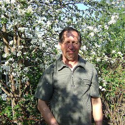 A��������, ������ ��������