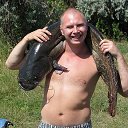 ���� ������, ������� - ��������� 11 ������ 2017 � ������ ���� ����������