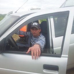 �����, �����������