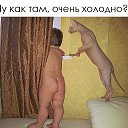  , - -  1  2017    