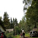 ���� �������, ������������, 49 ��� - ��������� 26 ������� 2017 � ������ ���� ����������