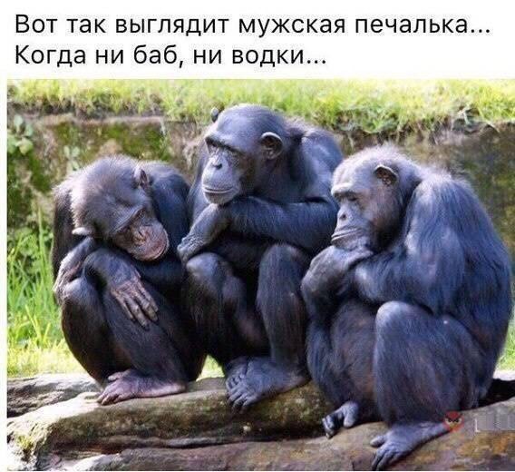 ��� ������������ � ����������� ���������� 7 ��� �����