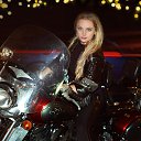 ���� �����, ��������, 44 ���� - ��������� 11 ������� 2017 � ������ ������ ��������