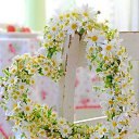 ���� Lui, ��������� - ��������� 7 ���� 2017 � ������ ������ ��������