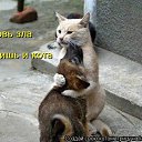 ���� Inga, ������ - ��������� 13 �������� 2017 � ������ �!!!�