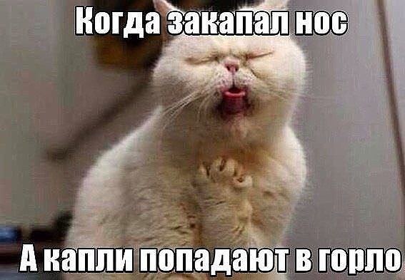 )))