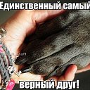 ���� �����, ������ - ��������� 7 ���� 2017 � ������ ������ ��������