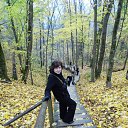 ���� �������, ����, 66 ��� - ��������� 8 ������� 2017 � ������ ������ ��������