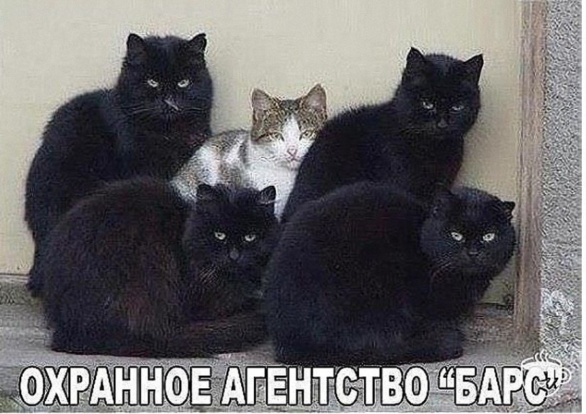 �������� �������� - 30 ������ 2017 � 22:26