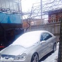 ���� �����, �������, 40 ��� - ��������� 30 ������� 2017 � ������ ���� ����������