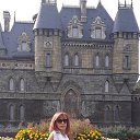 ���� ������ ����������, ������, 52 ���� - ��������� 21 �������� 2017 � ������ ���������� ������