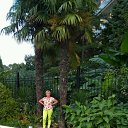 ���� �������, ���������, 65 ��� - ��������� 2 ������� 2017 � ������ ���������� ������