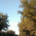 ���� Najt, ��������������, 39 ��� - ��������� 28 ���� 2017