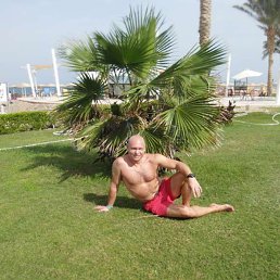 ������, �����, 51 ���