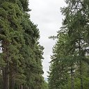 ���� ���������, ������ - ��������� 31 ������� 2017 � ������ ��������� � ������������ ��� 20 ������� 2017 ����