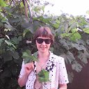 ���� �������, �������, 54 ���� - ��������� 3 �������� 2017