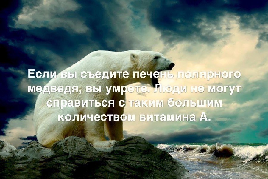   :    - 10  2017  21:44