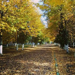 �������, ������, 55 ���