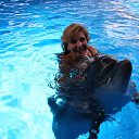 ���� �������, ��������� - ��������� 11 ������� 2017 � ������ ���� ����������