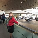 ���� �����, �����-���������, 51 ��� - ��������� 5 ��� 2017 � ������ ���������. ������, ����� �������