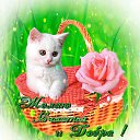 ���� ������� ���������, �������, 66 ��� - ��������� 26 ��� 2017 � ������ ������ ��������