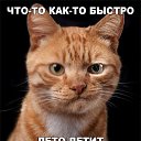 ���� Poligon, �����, 32 ���� - ��������� 4 ������� 2017 � ������ ������ ��������