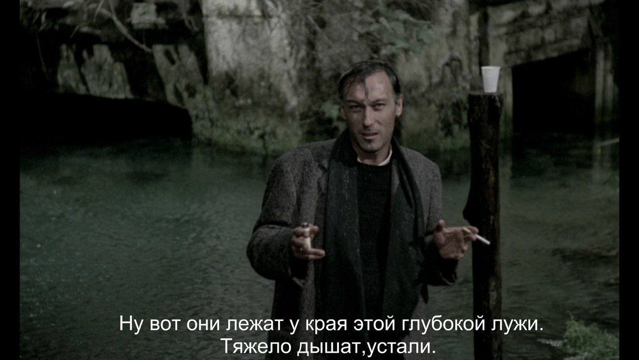 Истории вот это жизнь. Истории вот это жизнь