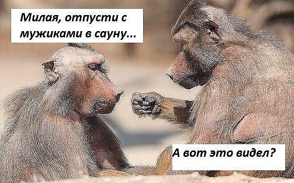        . - 4