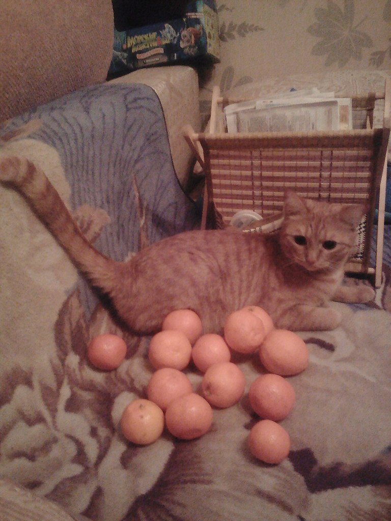 #_. .       - 7 .   , ... - 2