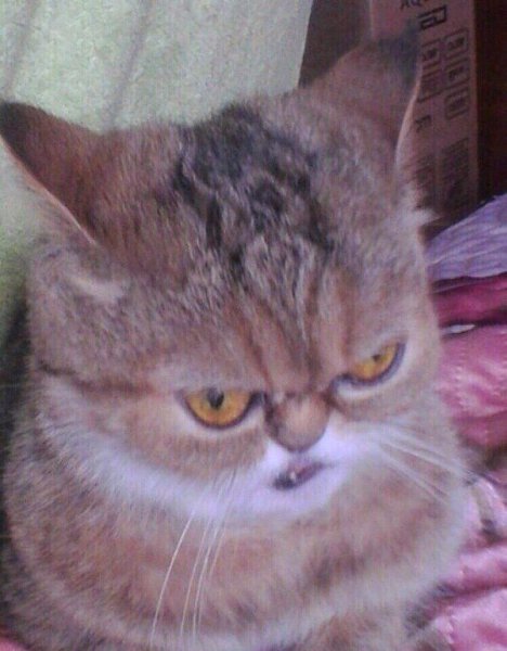 ���� �� � ��� �����