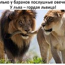 ���� ���, ��������� - ��������� 31 ������� 2017 � ������ ������ ��������